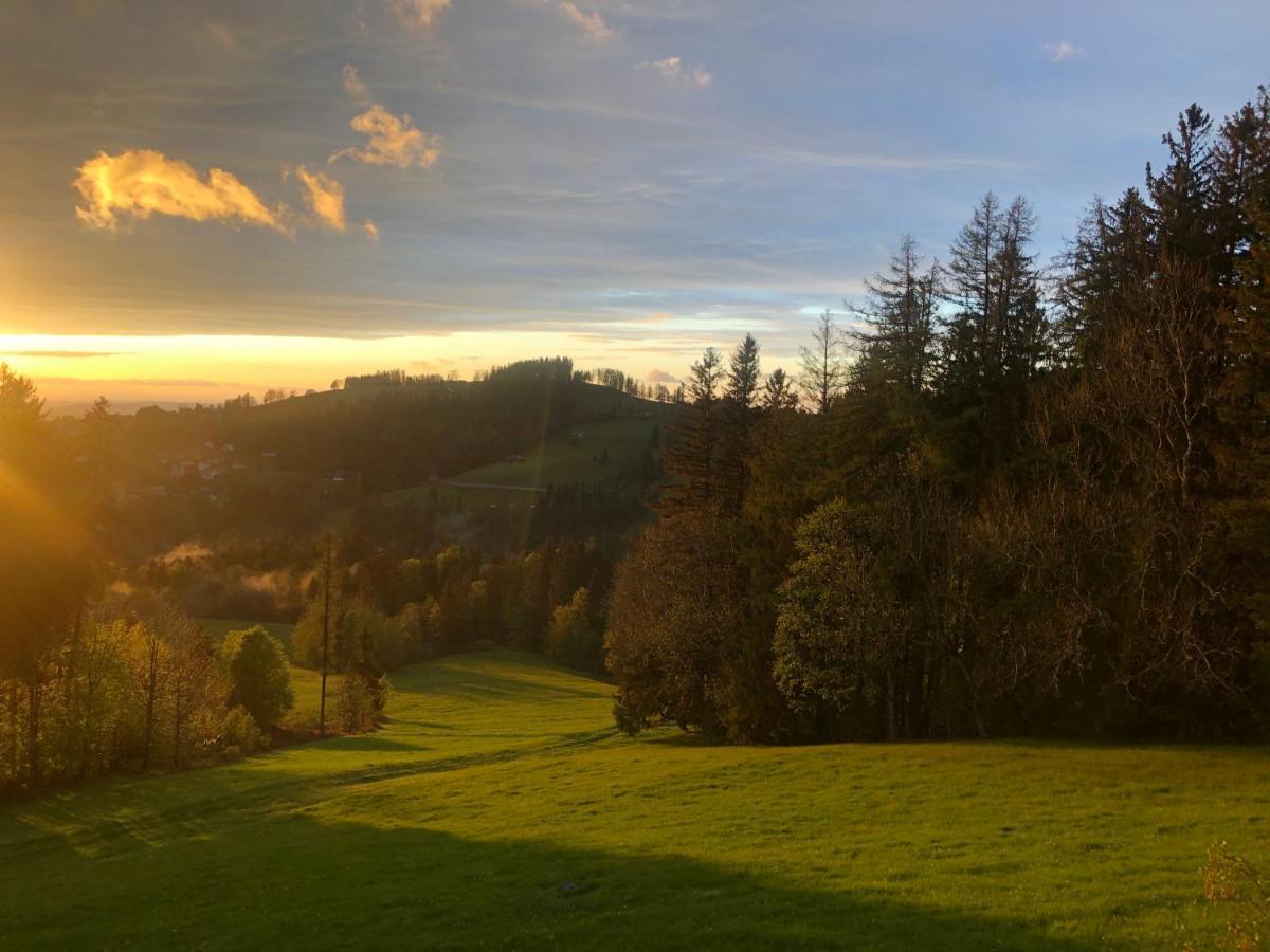 Hirschen Wald - Gasthaus & Baeckerei Wald (Appenzell Ausserrhoden) Exterior foto