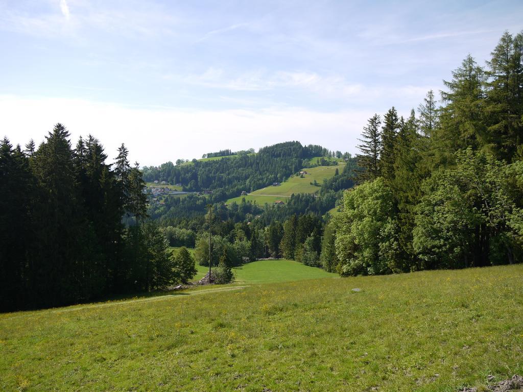 Hirschen Wald - Gasthaus & Baeckerei Wald (Appenzell Ausserrhoden) Exterior foto